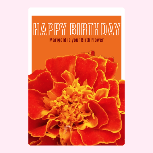 Happy Birthday card with marigold, your birth flower.