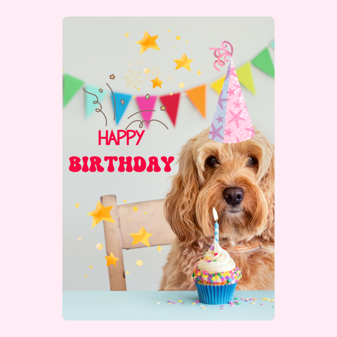 Happy birthday dog with cupcake & party hat - design from Nov 2024