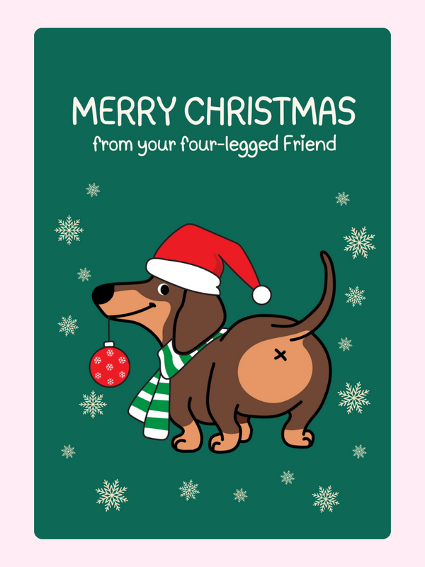 Christmas card with dachshund, Merry Christmas from four-legged friend, 2024