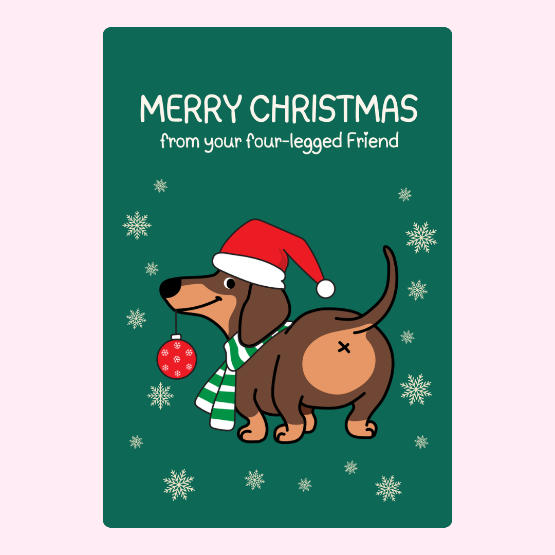 Christmas card with dachshund, Merry Christmas from four-legged friend, 2024