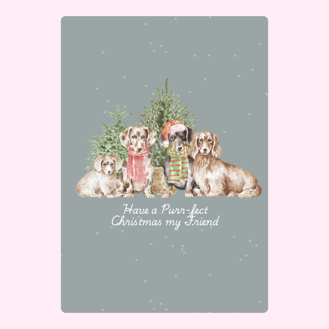 Christmas dachshunds illustration