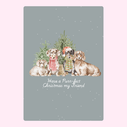 Christmas dachshunds illustration