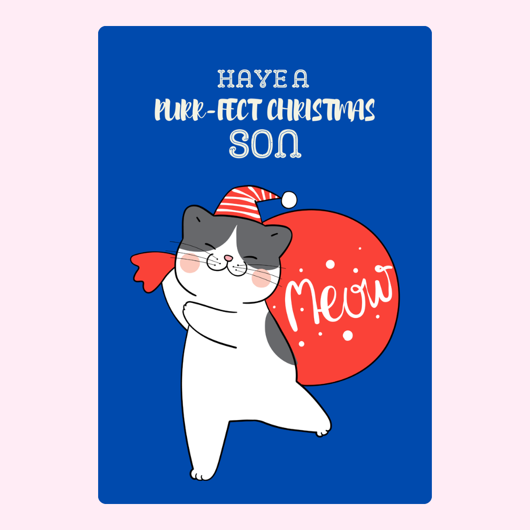 cat with Purr-fect Christmas