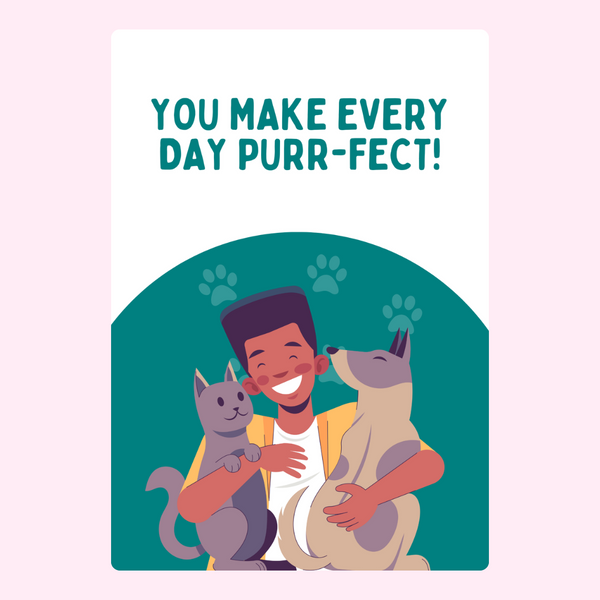 Everyday Purr-fect