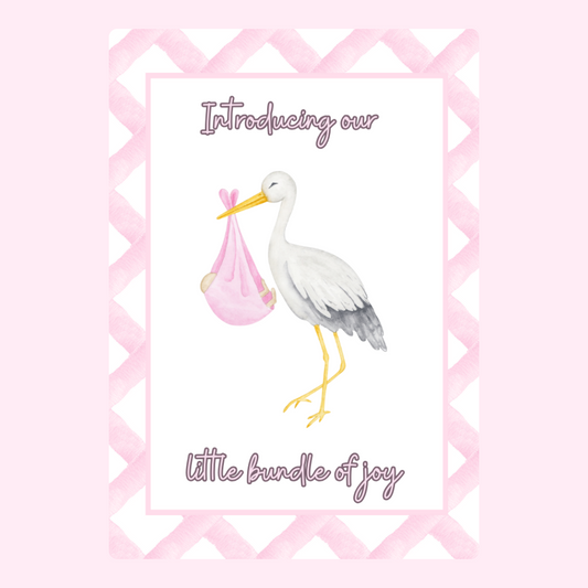 Baby announcement with stork and bundle of joy