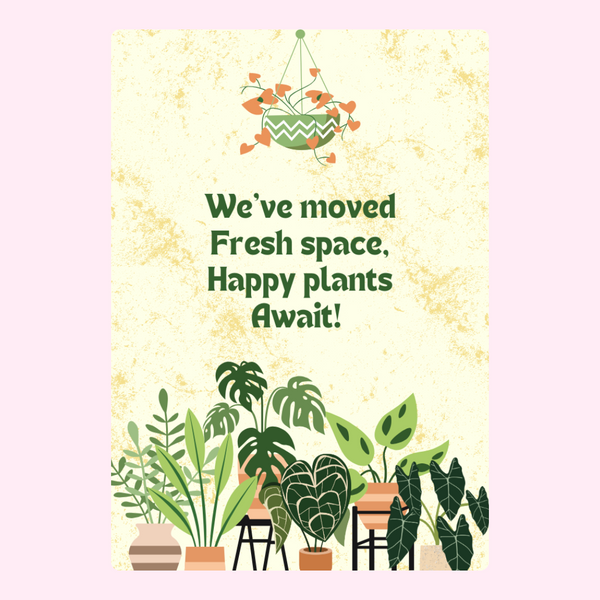 Happy Plants Await