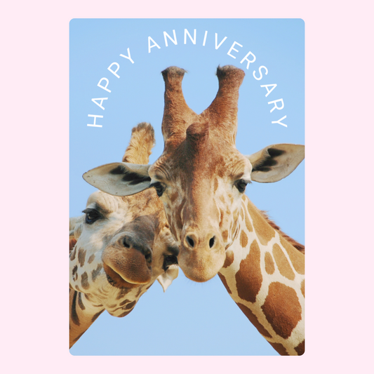 Happy Anniversary card with giraffes