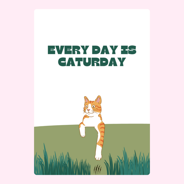 Everyday Is Caturday