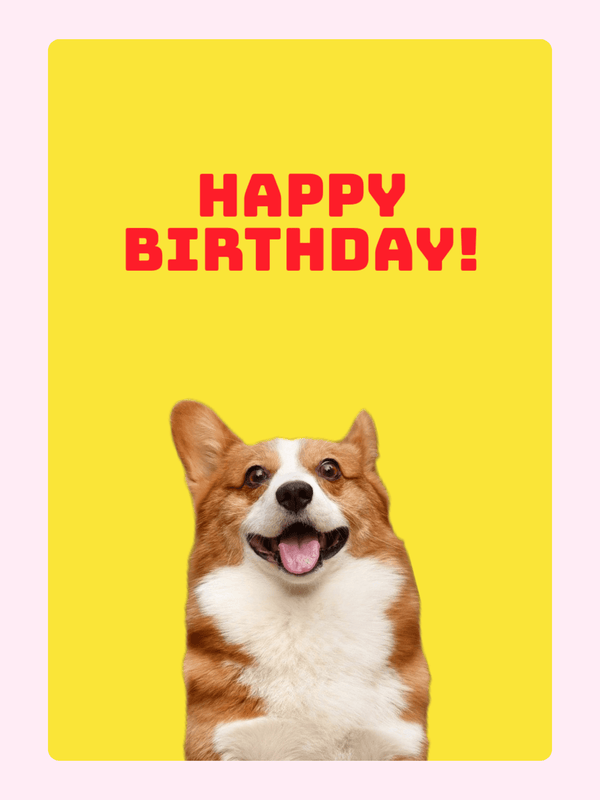 Smiling corgi dog on yellow happy birthday greeting card with bold text
