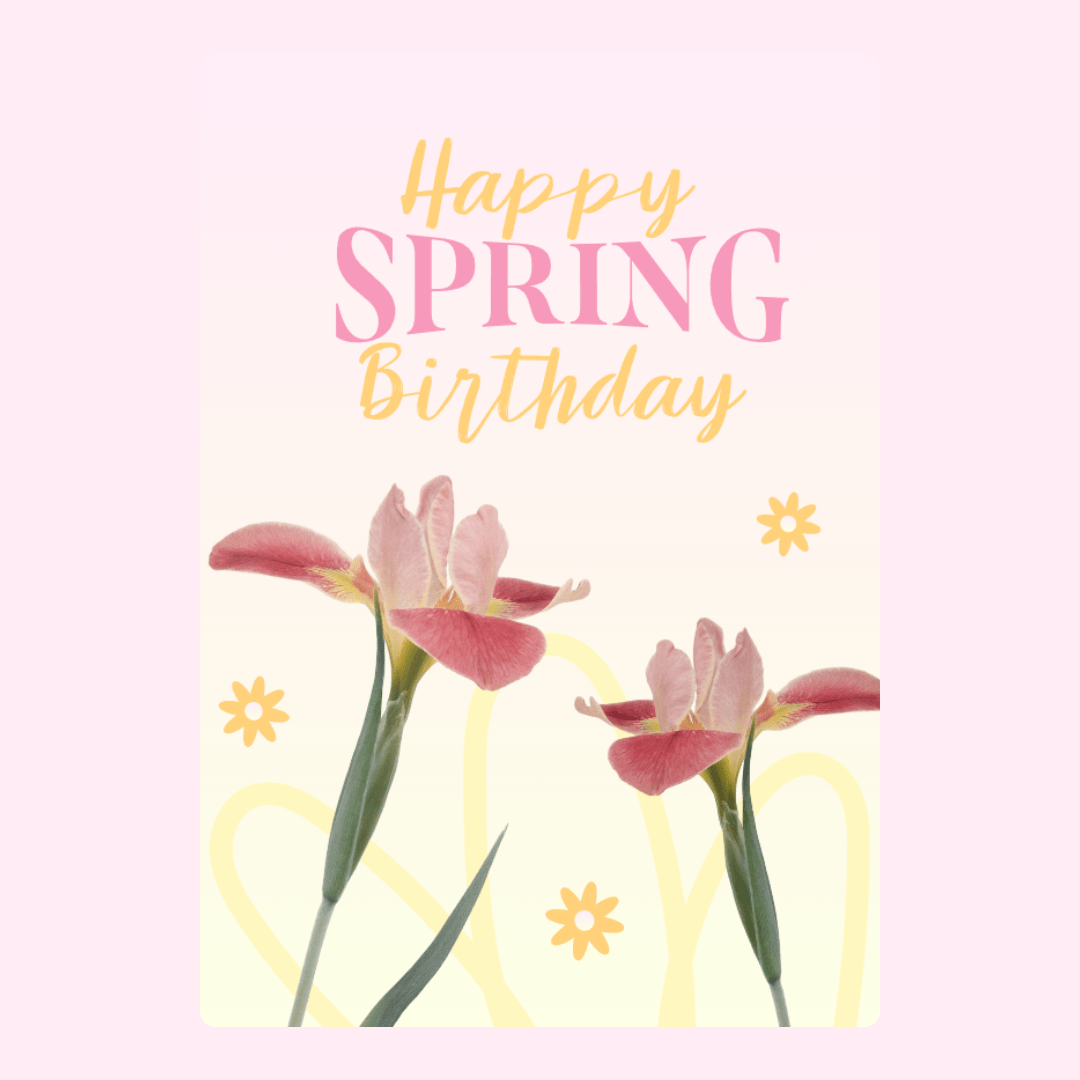 Elegant Happy Spring Birthday greeting card with soft pink iris flowers and pastel typography design