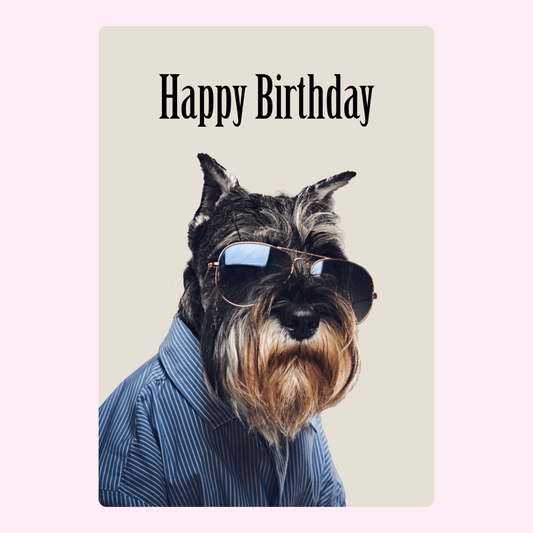 Cool schnauzer dog wearing sunglasses and shirt on happy birthday card